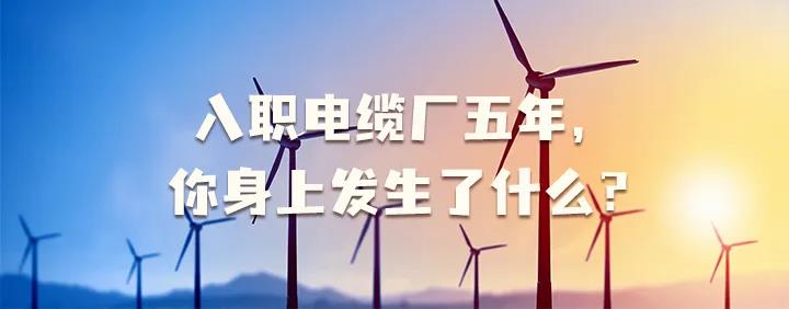 入職電纜廠五年，你身上發(fā)生了哪些變化~